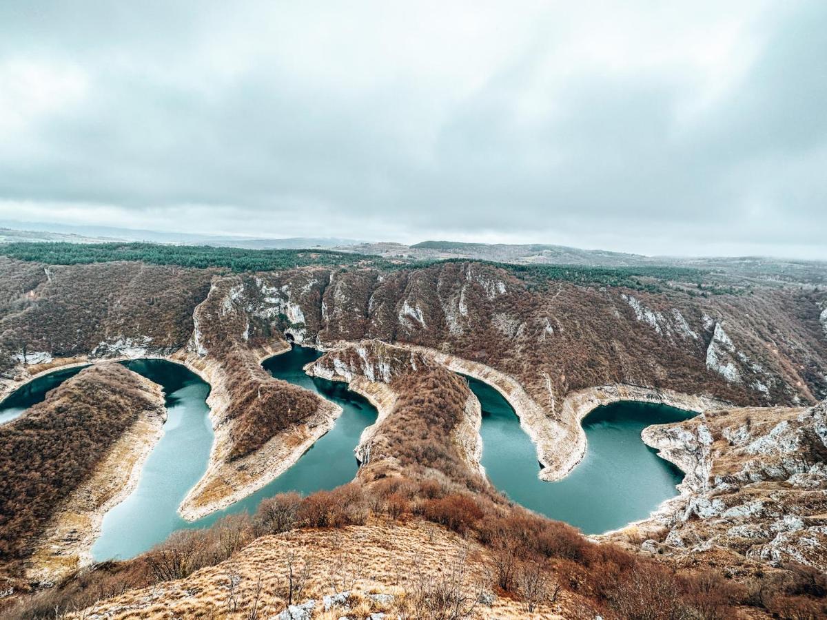 Vila Petunija Сеница Экстерьер фото